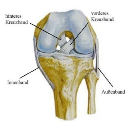 Verletzung der Bänder